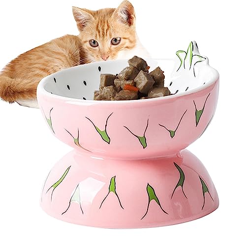 Gekippter erhöhter Katzennapf, Erhöhter Katzenfutternapf aus Keramik, Obst-Design: Ergonomisch, schmutzfrei, geräuscharm, stressfrei, Rutschfester Futternapf für Haustiere, schützt die Jildouf von Jildouf