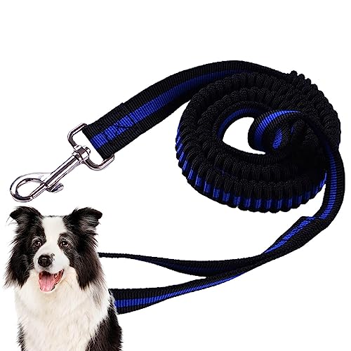 Hundeleine Heavy Duty - Teleskopisches, langlebiges Nylon-Hundeseil,Leinen für mittelgroße Hunde, langes, bequem gepolstertes Griffseil, strapazierfähiges Nylon, hochelastisch, strapazierfähig Jildouf Hundeleine Heavy Duty - Teleskopisches, langlebiges Nylon-Hundeseil,Leinen für mittelgroße Hunde, langes, bequem gepolstertes Griffseil, strapazierfähiges Nylon, hochelastisch, strapazierfähig Jildouf von Jildouf
