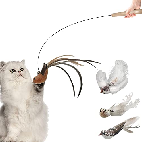 Jildouf Katzenstab, interaktives Vogel-Simulations-Katzenspielzeug-Set, Katzenanreicherungsspielzeug, Ersatz für Indoor-Katzen und Kätzchen, lustige Übung Jildouf Katzenstab, interaktives Vogel-Simulations-Katzenspielzeug-Set, Katzenanreicherungsspielzeug, Ersatz für Indoor-Katzen und Kätzchen, lustige Übung von Jildouf