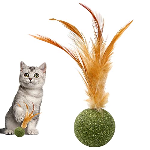 Jildouf Magische Katzenbälle,Kätzchenfeder essbarer Ball - Katzenspielzeug für Katzen lecken, sicheres gesundes Kauspielzeug für Kätzchen, Katzenspielzeug zur Zahnreinigung, Katzenleckerlis von Jildouf