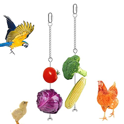 2 Stück Gemüsehalter Für Vögel, Vogel Futtersuche Spielzeug, Papageien Spieße Edelstahl, Huhn Gemüsehalter, Papageien-Hänge-Gemüse-Fruchtfutterautomat für Hühner-Vogel-Papagei von Jilskl