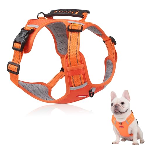 Hundegeschirr, Atmungsaktiv Geschirr, No Pull Reflektierend, Atmungsaktiv und Bequem, Schön und Sicher, Geeignet für Sie, Um Ihren Hund Zum Laufen, Wandern, Training, Jagen Zu Tragen Hundegeschirr, Atmungsaktiv Geschirr, No Pull Reflektierend, Atmungsaktiv und Bequem, Schön und Sicher, Geeignet für Sie, Um Ihren Hund Zum Laufen, Wandern, Training, Jagen Zu Tragen von Jilskl