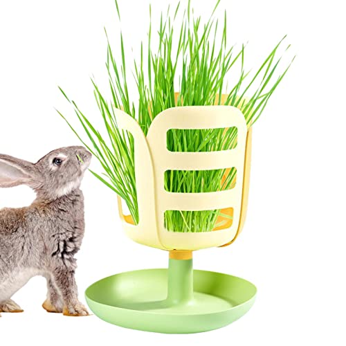 Hasenheuhalter,2-in-1-Kaninchen-Grasständer mit großem Fassungsvermögen - Heufutterstation für Kaninchen, Meerschweinchen, Chinchillas, Selbstfütterung für Haustiere Jimtuze von Jimtuze