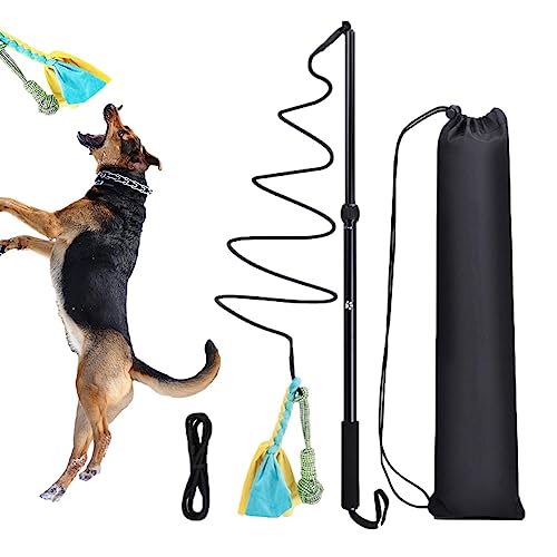 Jimtuze Hunde-Stäbchen,Teleskop-Zauberstab für Hunde - Interaktives Spielzeug für Welpen, die den Schwanz jagen, Flirtstange für Haustiere, Welpen, Katzen, drinnen und draußen von Jimtuze