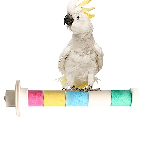 Vogelkäfigbarsch - Frosted Parrot Standing Pole - Quarzstein-Übungsspielzeug für Sittiche, Wellensittiche, Turteltauben, mittelgroße Papageien und Nymphensittiche Jimtuze von Jimtuze