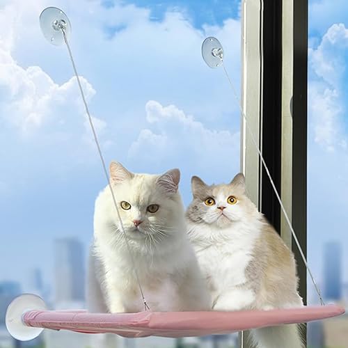 Katzen-Fenster-Hängematte, Sitzstange für Katzen, Sicherheitsbett, mit strapazierfähigen, robusten Saugnäpfen, ruhen, platzsparend, mit Fenster montiertes Katzenbett hält bis zu 13.6 kg (rosa) von JinRui-T
