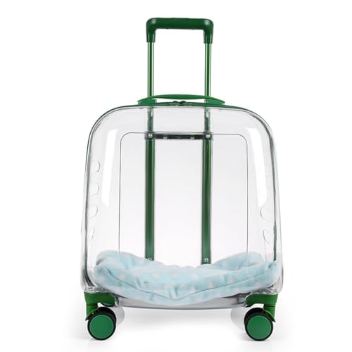 Haustier-Trolley-Box Outing-Katzentasche Tragbarer Koffer Transparente Große Katzentasche Haustier-Kinderwagen (Color : Green, Size : 41 * 41 * 31cm) von JingYi Store