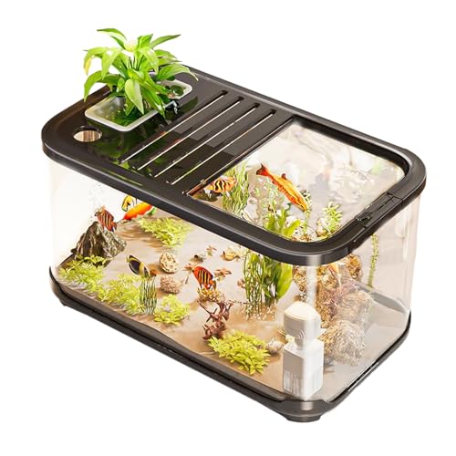 Aquarium Belüftungslöcher,Aquarium Fischbecken - Schildkrötenbecken Mit Treppe Für Aquatische Lebensraum Landschaftungssand Süßwasserkies Pflanzen Deko Aquarium Belüftungslöcher,Aquarium Fischbecken - Schildkrötenbecken Mit Treppe Für Aquatische Lebensraum Landschaftungssand Süßwasserkies Pflanzen Deko von Jingmiger