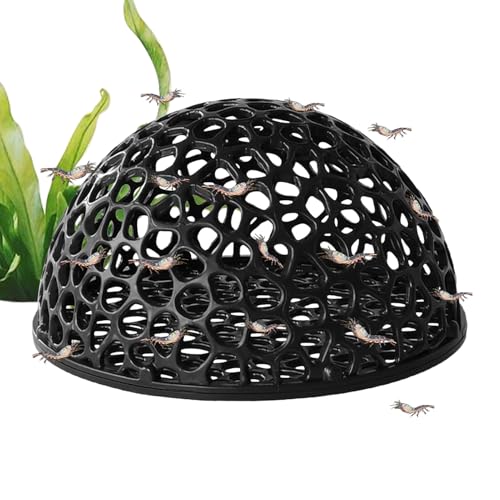 Garnelenverstecke Für Aquarien | Aquarium Dekoration Kleinfischversteck,Versteckhilfe Betta Lebensraum Ruheplatz Für Aquarium Schildkröte Unterwasser Dekoration von Jingmiger