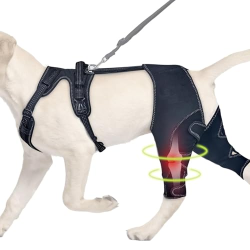 Hundeknieklammer, Hundebeinpraces für Hinterbein | Pet Hock Hip Support | Tragbarer Tierkniewundschutz für kleine Tiere Genesung Hundeknieklammer, Hundebeinpraces für Hinterbein | Pet Hock Hip Support | Tragbarer Tierkniewundschutz für kleine Tiere Genesung von Jingmiger