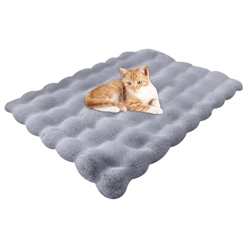Katzenbett, Plüsch-Katzenbett, Hundeschlafbett, Hundehütte Unterlage, Katzen Wärmematte, Haustier Kissen Unterlage, Mattendecke, waschbares Katzenbett für Hauskatzen, kleine Hunde, Haustierbedarf Katzenbett, Plüsch-Katzenbett, Hundeschlafbett, Hundehütte Unterlage, Katzen Wärmematte, Haustier Kissen Unterlage, Mattendecke, waschbares Katzenbett für Hauskatzen, kleine Hunde, Haustierbedarf von Jingmiger