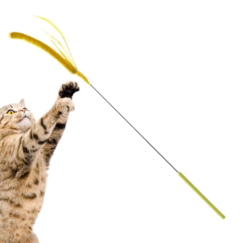 Katzenstäbe für Wohnungskatzen, Katzenstabspielzeug für Wohnungskatzen - Simulierter Setaria Cat Teaser Zauberstab - Flexibles Spring-Katzenspielzeug, Haustierzubehör, lange Plüschstange für das körpe Katzenstäbe für Wohnungskatzen, Katzenstabspielzeug für Wohnungskatzen - Simulierter Setaria Cat Teaser Zauberstab - Flexibles Spring-Katzenspielzeug, Haustierzubehör, lange Plüschstange für das körpe von Jingmiger