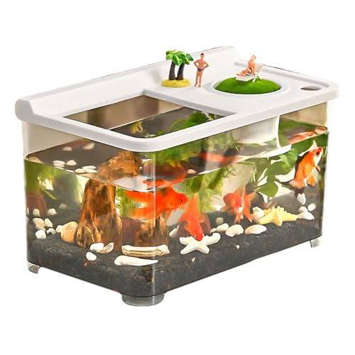 Kleines Aquarium Mit 3 Farben Beleuchtung - Dekoratives Fischbecken,Hydroponisches Tischaquarium Für Tischlandschaft Home Arbeitsplatz Eingangsbereich Schlafzimmer Kleines Aquarium Mit 3 Farben Beleuchtung - Dekoratives Fischbecken,Hydroponisches Tischaquarium Für Tischlandschaft Home Arbeitsplatz Eingangsbereich Schlafzimmer von Jingmiger