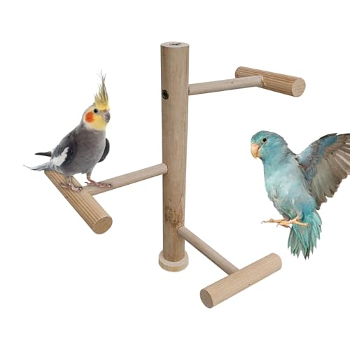 Vogeltrainings-Sitzstangenständer, Kletterspielzeug auf stehenden Ästen, Robustes Vogelkäfigspielzeug, Bissfester Vogelständer, multifunktionaler Papageien-Spielständer Vogeltrainings-Sitzstangenständer, Kletterspielzeug auf stehenden Ästen, Robustes Vogelkäfigspielzeug, Bissfester Vogelständer, multifunktionaler Papageien-Spielständer von Jingmiger