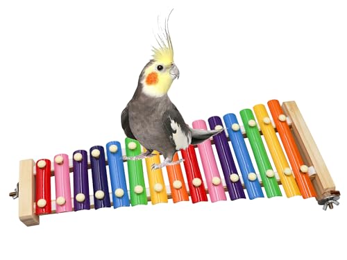 Jinkoozz Buntes Xylophon-Spielzeug, lustiges Xylophon-Spielzeug mit 8 Metallschlüsseln, Vogelkäfig-Spielzeugzubehör für Hühner, Vogel, Papageien, Sittiche, Wellensittiche, Liebesvögel von Jinkoozz