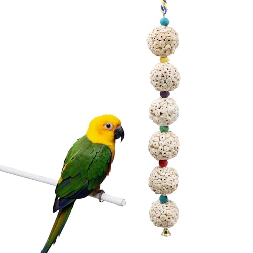 Jinkoozz Vogelkauspielzeug, Vogel Sola Ball Spielzeug mit Glocke, Vogelkäfig Zubehör, Käfigspielzeug für Nymphensittiche, Sittiche, Papagei, Wellensittiche, Ratte, Hamster, Chinchilla, Kaninchen, Jinkoozz Vogelkauspielzeug, Vogel Sola Ball Spielzeug mit Glocke, Vogelkäfig Zubehör, Käfigspielzeug für Nymphensittiche, Sittiche, Papagei, Wellensittiche, Ratte, Hamster, Chinchilla, Kaninchen, von Jinkoozz
