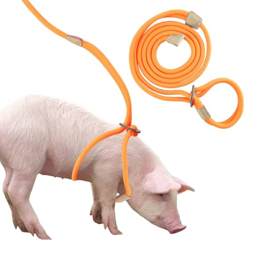 Mini-Schweine-Geschirr und Leine, verstellbares 2,4 m langes Seil für kleine bis mittelgroße Haustierschweine Mini-Schweine-Geschirr und Leine, verstellbares 2,4 m langes Seil für kleine bis mittelgroße Haustierschweine von Jinkoozz