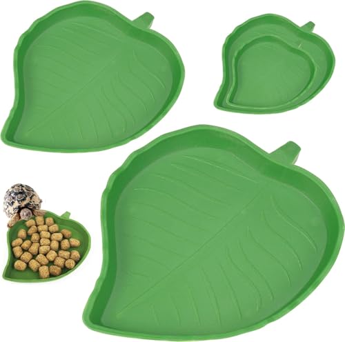 2 Stück Reptilien-Futterschüssel, Schildkrötenzubehör, Blatt-Reptilien-Napf für Schildkröten, Eidechsen, Hamster 2 Stück Reptilien-Futterschüssel, Schildkrötenzubehör, Blatt-Reptilien-Napf für Schildkröten, Eidechsen, Hamster von Jinsion