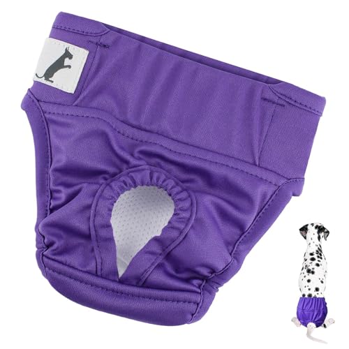 Hunde-Shorts für Hunde, waschbare Windeln für Hündinnen, Windeln für kleine Hunde – waschbare Hygiene-Höschen für Hunde, wiederverwendbar, sehr saugfähig, waschbar mit starkem Verschluss Hunde-Shorts für Hunde, waschbare Windeln für Hündinnen, Windeln für kleine Hunde – waschbare Hygiene-Höschen für Hunde, wiederverwendbar, sehr saugfähig, waschbar mit starkem Verschluss von Jinyilwn