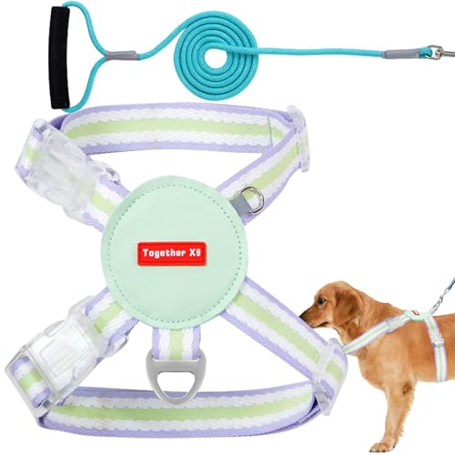 Hundegeschirr, Geschirr Kleine Hunde - Set mit Seil und Geschirr für Welpen | Weiches Geschirr für kleine Hunde, Verstellbare Weste Welpengeschirr Leine für Kleine Haustiere Leicht Hundegeschirr, Geschirr Kleine Hunde - Set mit Seil und Geschirr für Welpen | Weiches Geschirr für kleine Hunde, Verstellbare Weste Welpengeschirr Leine für Kleine Haustiere Leicht von Jinyilwn