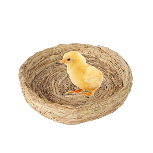 Zuchtnest - Vogelzuchtnest, Stroh Zuchtkraut Nest | Einfach zu installieren, Vogelfarm Naturvoliere, Papagei Vogelkäfig Zubehör Zuchtnest - Vogelzuchtnest, Stroh Zuchtkraut Nest | Einfach zu installieren, Vogelfarm Naturvoliere, Papagei Vogelkäfig Zubehör von Jinyilwn