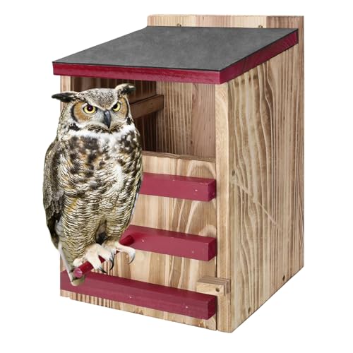 Eulenhaus aus Holz, wasserdichter Eulen-Nistkasten, Vogelhäuser für draußen mit Befestigungsschrauben, Holzöffnungs-Eulenbox für Schleiereule, Kreischeule, Hinterhof-Vogelzubehör (Rot, 21 x 19 x 34 cm Eulenhaus aus Holz, wasserdichter Eulen-Nistkasten, Vogelhäuser für draußen mit Befestigungsschrauben, Holzöffnungs-Eulenbox für Schleiereule, Kreischeule, Hinterhof-Vogelzubehör (Rot, 21 x 19 x 34 cm von Jinzhenhong