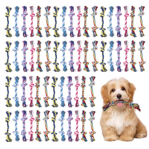 Jinzhenhong Hundespielzeug aus Baumwollseil, robustes Hundespielzeug, mehrfarbiges Seilspielzeug für Hunde, Hundezubehör für kleine und mittelgroße Hunde, 60 Stück, 18 cm, 60 Stück Jinzhenhong Hundespielzeug aus Baumwollseil, robustes Hundespielzeug, mehrfarbiges Seilspielzeug für Hunde, Hundezubehör für kleine und mittelgroße Hunde, 60 Stück, 18 cm, 60 Stück von Jinzhenhong
