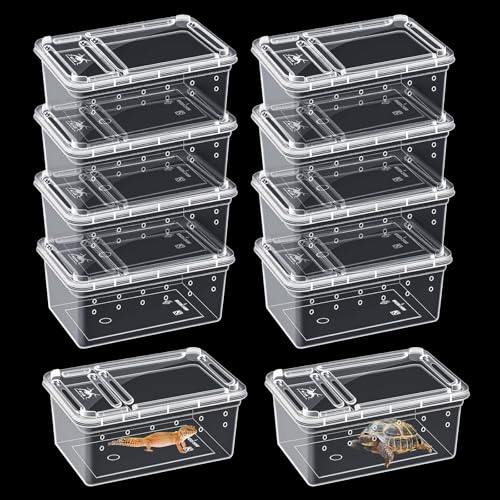 Reptilien-Futterbox, transparent, Tier-Lebensraum, Käfig, Spinne, Terrarium, Kunststoff-Brutbox für Reptilien, Schildkröte, Spinne, Frosch, Skorpion, Schlange (5 x 10 x 6,5 cm) von Jinzhenhong