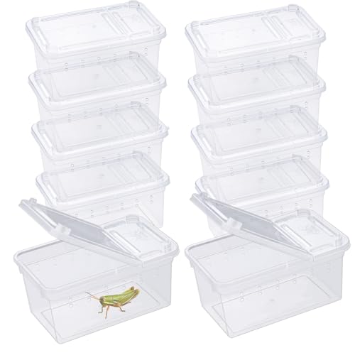 Reptilien-Futterbox, transparent, Tier-Lebensraum, Käfig, Spinne, Terrarium, Kunststoff-Brutbox für Reptilien, Schildkröte, Spinne, Frosch, Skorpion, Schlange (9,1 x 5,3 x 4,8 cm), 10 Stück von Jinzhenhong