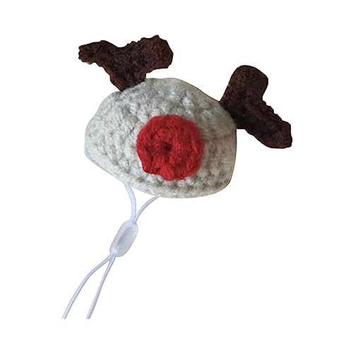 Hamster-Hut, Mini-Mütze für kleine Tiere, mit verstellbarem Riemen, handgestrickt, Frosch, Regenbogen, Karotte, kleine Hüte für, Reptil, Weihnachten, Urlaub, Party, Kleidung, Halsbänder (P, One Size) Hamster-Hut, Mini-Mütze für kleine Tiere, mit verstellbarem Riemen, handgestrickt, Frosch, Regenbogen, Karotte, kleine Hüte für, Reptil, Weihnachten, Urlaub, Party, Kleidung, Halsbänder (P, One Size) von Jipersuo