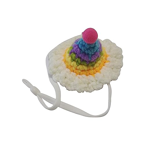 Hamster-Hut, Mini-Mütze für kleine Tiere, mit verstellbarem Riemen, handgestrickt, Frosch, Regenbogen, Karotte, kleine Hüte für, Reptil, Weihnachten, Urlaub, Party, Kleidung, Halsbänder (V, One Size) Hamster-Hut, Mini-Mütze für kleine Tiere, mit verstellbarem Riemen, handgestrickt, Frosch, Regenbogen, Karotte, kleine Hüte für, Reptil, Weihnachten, Urlaub, Party, Kleidung, Halsbänder (V, One Size) von Jipersuo