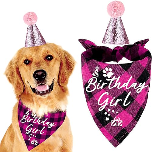 Haustier-Geburtstagsparty-Set, Hut, Dreieckstuch, Hündin, Festival-Dekoration, Requisiten, niedliches rosa Set wasserdichte Hundehalsbänder (One Size) von Jipersuo