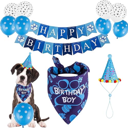 Haustier Hut Fliege Zubehör Geburtstag Party Set Glitzer Hut Fliege Kragen Festival Dekoration Lieferungen Winteroutfits für Haustiere (Blue, One Size) von Jipersuo
