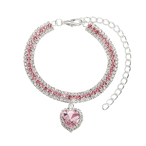 Haustier Katze Halsband Hundehalskette Metall Halskette kleine mittlere Hunde -Kaukette Haustierzubehör Haustier-Outfit (M) von Jipersuo