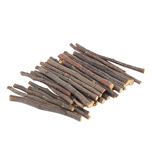 Jipersuo 20/40/60Pcs Natürliche Sticks Kleine Tiere Molaren Holz Hamster Kaninchen Gerbil Hase Kleine Tiere Stick Leckerkauspielzeug (Brown, 40) von Jipersuo