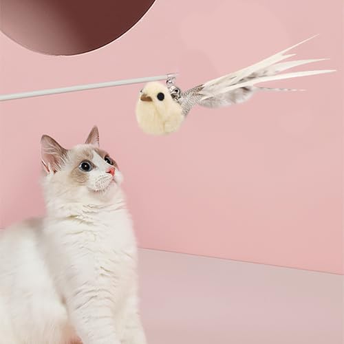 Jipersuo Haustier-Teasing-Stick zum Wechseln des Kopfes Katzenspielzeug zum Selbstvergnügen Beruhigende Federn Simulation Vögel Katzenbedarf Tierkauten (White, 23cm) von Jipersuo