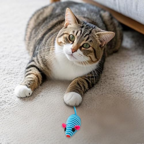 Jipersuo Simulationsspielzeug-Set für Katzen, Federkau- Kratzspielzeug Kautexturen-natürlich (B, 15cm) von Jipersuo