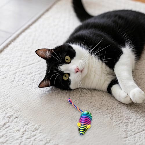 Jipersuo Simulationsspielzeug-Set für Katzen, Federkau- Kratzspielzeug Kautexturen-natürlich (D, 15cm) von Jipersuo