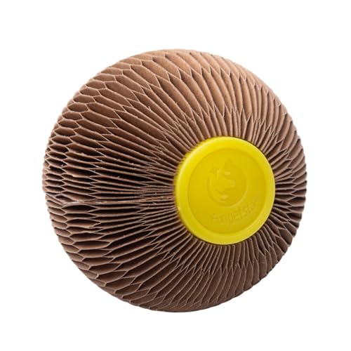 Katzenspielzeug für den Innenbereich, Wohnzimmer, Haustier, interaktives Katzenspielzeug, Wellpapier, Schleifspielzeug, stimuliert den Instinkt, lustiges Roller-Haustierspielzeug (Grey, One Size) von Jipersuo