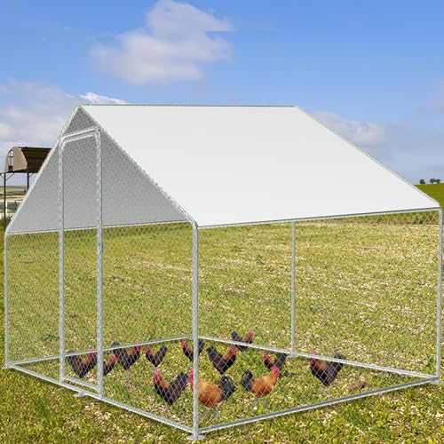 Jiubiaz Hühnerstall Freilaufgehege 3x2x2, Verzinkter Stahl Hühnerhaus Freigehege mit Sonnenschutzdach und Tür Schloss, für Haustierkäfig Hühnerkäfig Vogelkäfig Kleintiere Pflanzen Jiubiaz Hühnerstall Freilaufgehege 3x2x2, Verzinkter Stahl Hühnerhaus Freigehege mit Sonnenschutzdach und Tür Schloss, für Haustierkäfig Hühnerkäfig Vogelkäfig Kleintiere Pflanzen von Jiubiaz