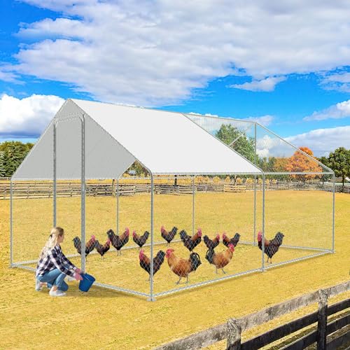 Jiubiaz Hühnerstall Freilaufgehege 3x3x2, Verzinkter Stahl Hühnerhaus Freigehege mit Sonnenschutzdach und Tür Schloss, für Haustierkäfig Hühnerkäfig Vogelkäfig Kleintiere Pflanzen Jiubiaz Hühnerstall Freilaufgehege 3x3x2, Verzinkter Stahl Hühnerhaus Freigehege mit Sonnenschutzdach und Tür Schloss, für Haustierkäfig Hühnerkäfig Vogelkäfig Kleintiere Pflanzen von Jiubiaz
