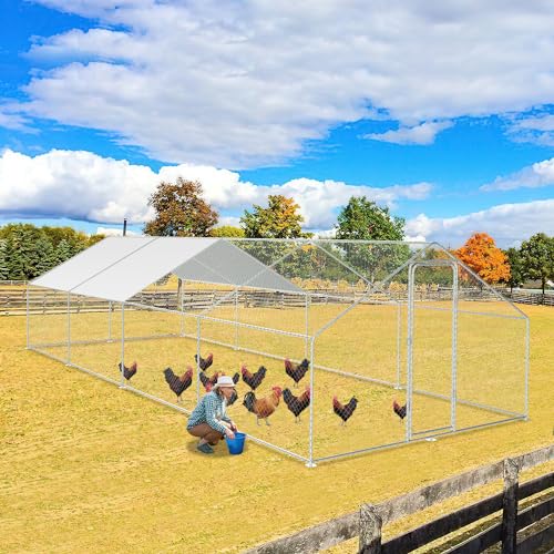 Jiubiaz Hühnerstall Freilaufgehege 3x8x2, Verzinkter Stahl Hühnerhaus Freigehege mit Sonnenschutzdach und Tür Schloss, für Haustierkäfig Hühnerkäfig Vogelkäfig Kleintiere Pflanzen Jiubiaz Hühnerstall Freilaufgehege 3x8x2, Verzinkter Stahl Hühnerhaus Freigehege mit Sonnenschutzdach und Tür Schloss, für Haustierkäfig Hühnerkäfig Vogelkäfig Kleintiere Pflanzen von Jiubiaz