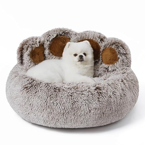 Jiupety Dog Bed with Standing Paws | Upgraded Soothing Paw Dog Bed | Cozy Comfy Small Dog Bed | Creative Dog Donut Bed with Bear Paws | Gray L Size 26”X26”X8” | Pet Paw Dog Bed for Small Dogs von Jiupety