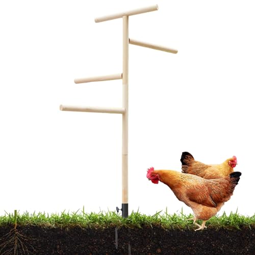 Hühnersitzstange für Stall, Hühnersitzstange Ständer, Groß Hühnerständer Spielzeug Geflügel Sitzstange, Holzstange, Spielplatz Barsch Spielzeug mit Bodenstopfen Vögel Trainingszweig für mehrere von Jlkegfdf