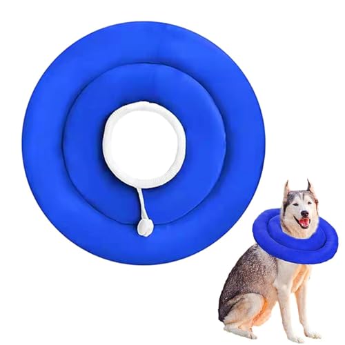 1 x Genesungshalsband – verstellbares Katzenhalsband, Hunde-Heilkegel | bequemer Haustier-Halsheilkegel, weiches elisabethanisches Halsband, wasserdichtes Hundehalsband, PP und Baumwolle, blau 1 x Genesungshalsband – verstellbares Katzenhalsband, Hunde-Heilkegel | bequemer Haustier-Halsheilkegel, weiches elisabethanisches Halsband, wasserdichtes Hundehalsband, PP und Baumwolle, blau von Jlobnyiun