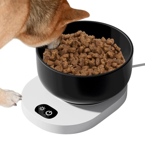 Beheizte Schüssel für Katzen, beheizte Wasserschale für Katzen | Keramik-Thermo-Isolationsschale für Haustiere | Wintertränke für Haustiere, beheizt, mit Klimaanlage Beheizte Schüssel für Katzen, beheizte Wasserschale für Katzen | Keramik-Thermo-Isolationsschale für Haustiere | Wintertränke für Haustiere, beheizt, mit Klimaanlage von Jlobnyiun