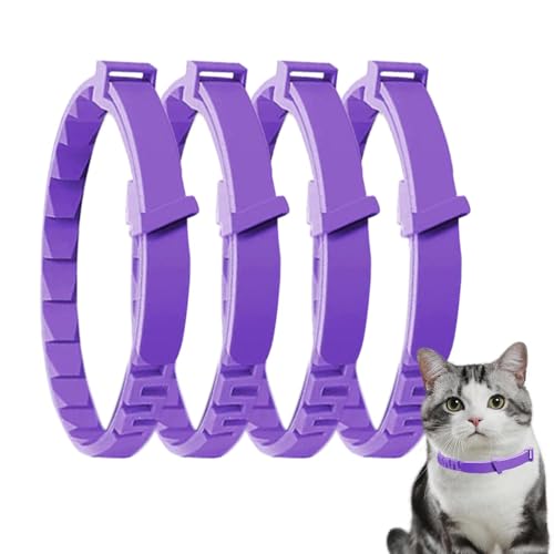 Beruhigendes Halsband für Haustiere, beruhigendes Halsband für Hunde | Beruhigendes Halsband für Haustiere, Camping, beruhigendes Halsband für Haustiere, lange Lebensdauer Beruhigendes Halsband für Haustiere, beruhigendes Halsband für Hunde | Beruhigendes Halsband für Haustiere, Camping, beruhigendes Halsband für Haustiere, lange Lebensdauer von Jlobnyiun