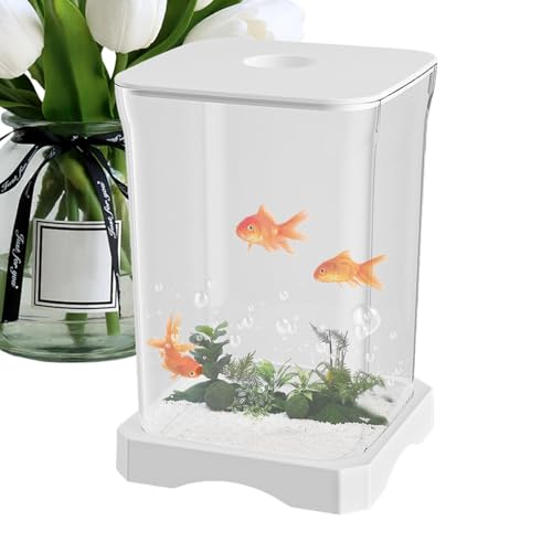 Betta Aquarium Betta Aquarium - Desktop Aquarium 4K HD Aquarium Starter mit LED Licht, Zieraquarium Kleines Aquarium für Küche, Arbeitszimmer, Wohnzimmer, Schlafzimmer Betta Aquarium Betta Aquarium - Desktop Aquarium 4K HD Aquarium Starter mit LED Licht, Zieraquarium Kleines Aquarium für Küche, Arbeitszimmer, Wohnzimmer, Schlafzimmer von Jlobnyiun