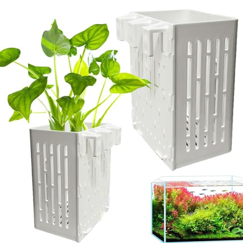 Halterung für Aquarien – Pflanzgefäß für Aquarien, Topf für Aquarium | Aquatic Pot für Aquarium, 2 Stück, Töpfe, Wasseranstrich, Tasse Halterung für Aquarien – Pflanzgefäß für Aquarien, Topf für Aquarium | Aquatic Pot für Aquarium, 2 Stück, Töpfe, Wasseranstrich, Tasse von Jlobnyiun
