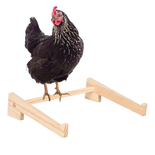 Hühner Sitzstange Für Stall | Geflügel Trainings Sitzstange Holz | Schlafstange Für Hühner Küken Vögel Spiel Sitz Training Unterstützung | Küken Aufzuchtbox Hühnerstall von Jlobnyiun